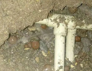 谢家集卫生间测漏
