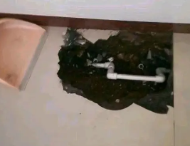 谢家集卫生间测漏水多少钱